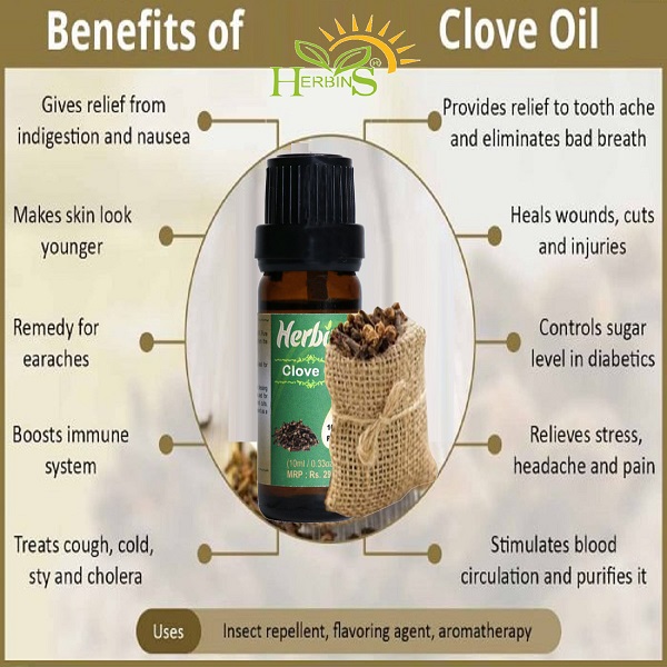 Clove oil for pain relief and oral care